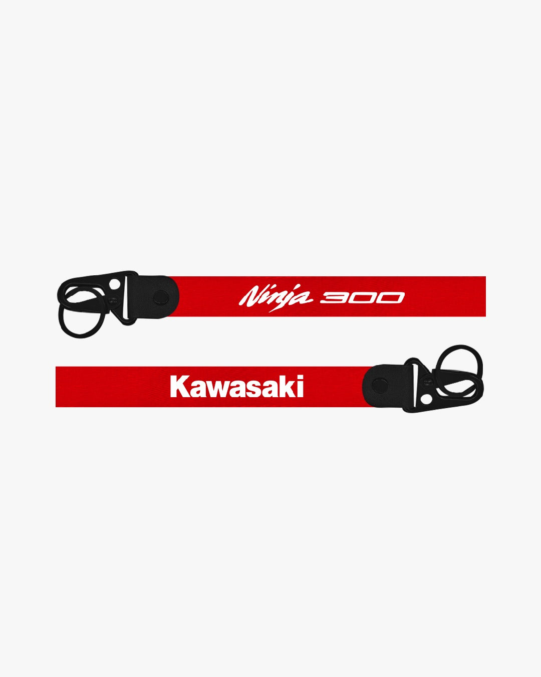 Kawasaki Ninja 900 keychain on a white background
